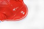 Reversible Chest Protector — image 9